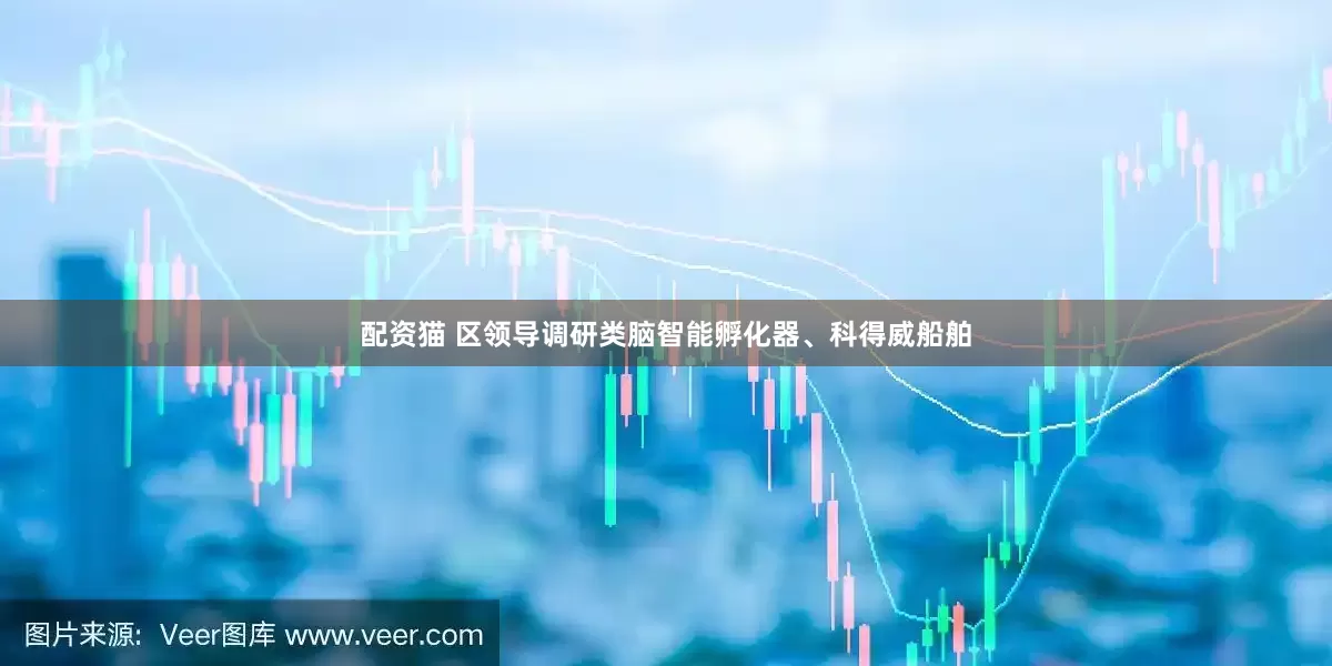 配资猫 区领导调研类脑智能孵化器、科得威船舶